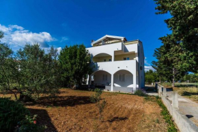 Apartments in Biograd na Moru 8169